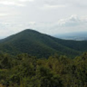 Meet your Posher, Brady